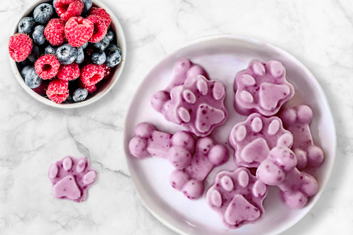 Helado Refrescante de Chía y Fruta