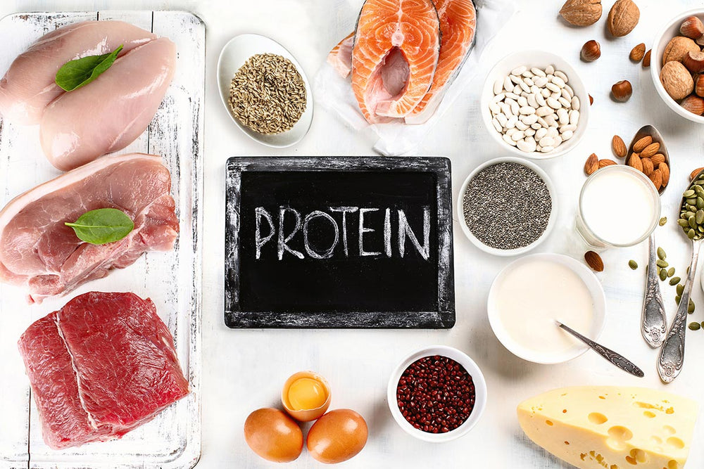 ¿Por qué es importante consumir proteínas? | SOW Chile